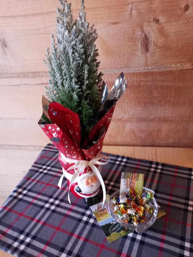 Pokoje Goscinne Pod Limbami Ciche Małe 외부 사진